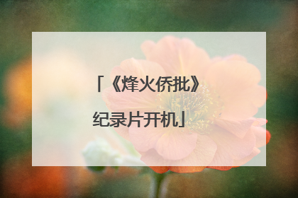 《烽火侨批》纪录片开机