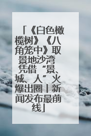 《白色橄榄树》《八角笼中》取景地沙湾 凭借“景、城、人”火爆出圈丨新闻发布最前线