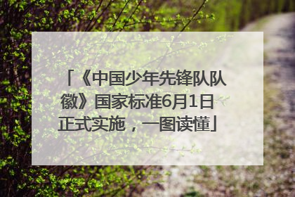 《中国少年先锋队队徽》国家标准6月1日正式实施，一图读懂