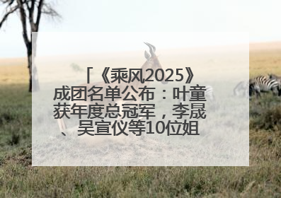 《乘风2025》成团名单公布：叶童获年度总冠军，李晟、吴宣仪等10位姐姐成功成团，陈德容获年度高光人物
