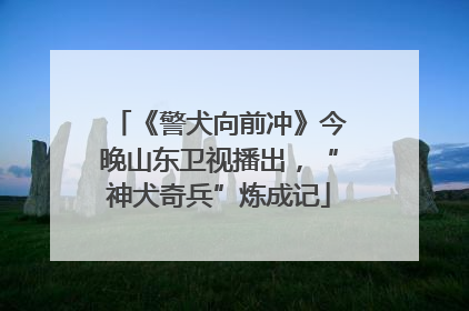 《警犬向前冲》今晚山东卫视播出，“神犬奇兵”炼成记