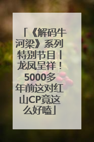 《解码牛河梁》系列特别节目丨龙凤呈祥！5000多年前这对红山CP竟这么好嗑