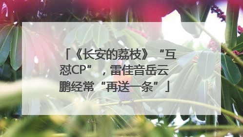 《长安的荔枝》“互怼CP”，雷佳音岳云鹏经常“再送一条”