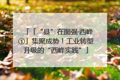 「“县”在图强·西峰①」集聚成势！工业转型升级的“西峰实践”