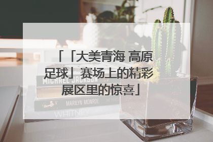 「大美青海 高原足球」赛场上的精彩 展区里的惊喜