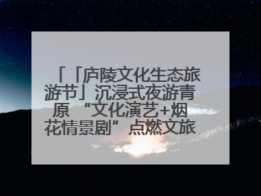 「庐陵文化生态旅游节」沉浸式夜游青原 “文化演艺+烟花情景剧”点燃文旅热潮（图）