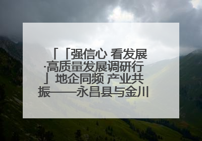 「强信心 看发展·高质量发展调研行」地企同频 产业共振——永昌县与金川集团地企融合推动重大项目建设