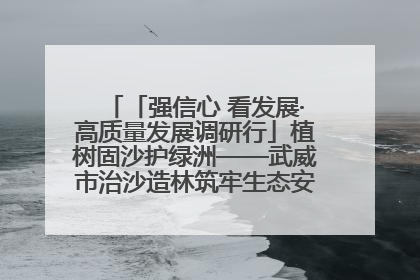 「强信心 看发展·高质量发展调研行」植树固沙护绿洲——武威市治沙造林筑牢生态安全屏障见闻