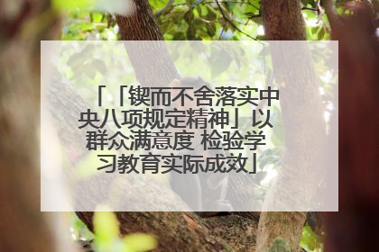 「锲而不舍落实中央八项规定精神」以群众满意度 检验学习教育实际成效