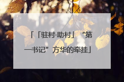 「驻村·助村」“第一书记”方华的牵挂