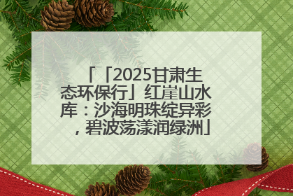 「2025甘肃生态环保行」红崖山水库：沙海明珠绽异彩，碧波荡漾润绿洲