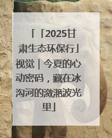 「2025甘肃生态环保行」视觉｜今夏的心动密码，藏在冰沟河的潋滟波光里