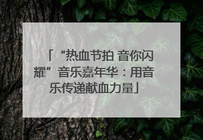 “热血节拍 音你闪耀”音乐嘉年华：用音乐传递献血力量