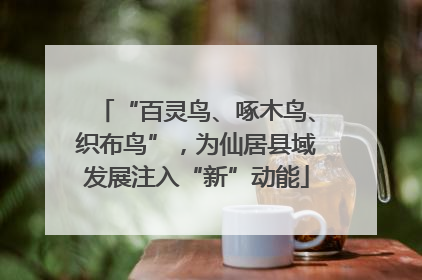 “百灵鸟、啄木鸟、织布鸟”，为仙居县域发展注入“新”动能