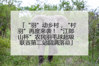 “羽”动乡村，“村羽”再度来袭！“江郎山杯”农民羽毛球超级联赛第二站圆满落幕