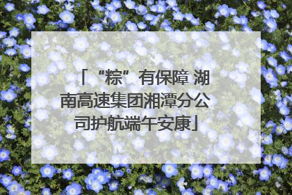 “粽”有保障 湖南高速集团湘潭分公司护航端午安康