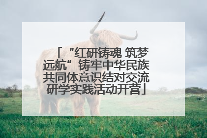 “红研铸魂 筑梦远航”铸牢中华民族共同体意识结对交流研学实践活动开营