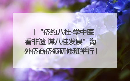 “侨约八桂·学中医 看非遗 谋八桂发展”海外侨商侨领研修班举行