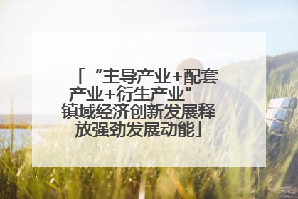 “主导产业+配套产业+衍生产业” 镇域经济创新发展释放强劲发展动能