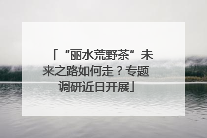 “丽水荒野茶”未来之路如何走？专题调研近日开展
