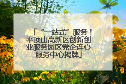 “一站式”服务！平顶山高新区创新创业服务园区党企连心服务中心揭牌