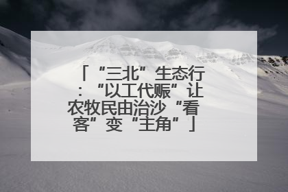 “三北”生态行：“以工代赈”让农牧民由治沙“看客”变“主角”