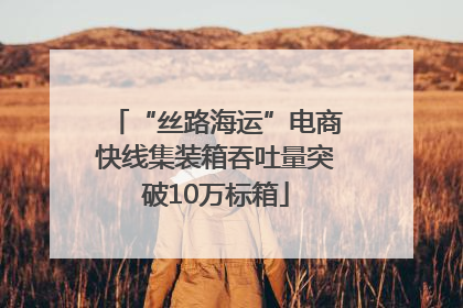 “丝路海运”电商快线集装箱吞吐量突破10万标箱