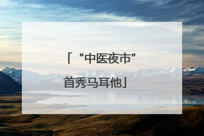 “中医夜市”首秀马耳他
