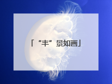 “丰”景如画