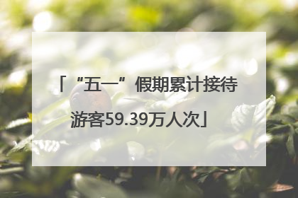 “五一”假期累计接待游客59.39万人次