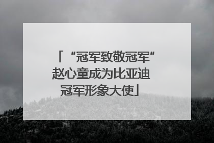 “冠军致敬冠军” 赵心童成为比亚迪冠军形象大使