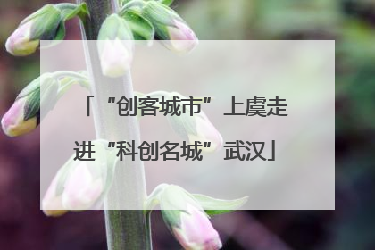 “创客城市”上虞走进“科创名城”武汉
