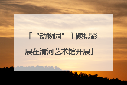 “动物园”主题摄影展在清河艺术馆开展