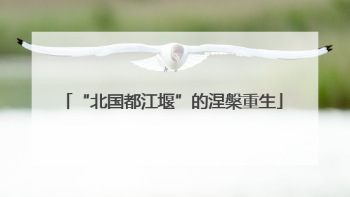 “北国都江堰”的涅槃重生