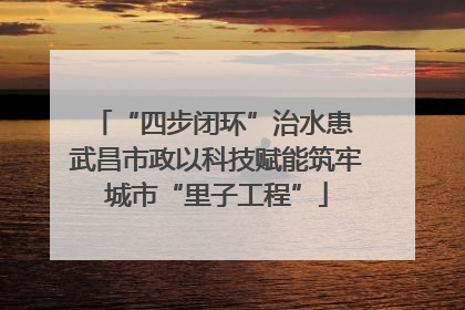 “四步闭环”治水患 武昌市政以科技赋能筑牢城市“里子工程”