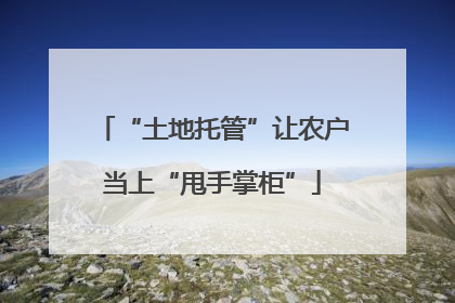 “土地托管”让农户当上“甩手掌柜”