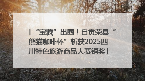 “宝藏”出圈！自贡荣县“熊猫咖啡杯”斩获2025四川特色旅游商品大赛铜奖