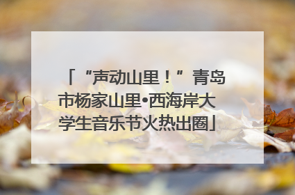 “声动山里！”青岛市杨家山里•西海岸大学生音乐节火热出圈