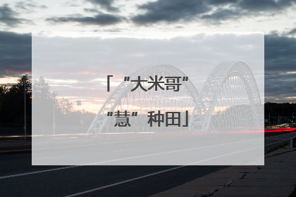 “大米哥”“慧”种田
