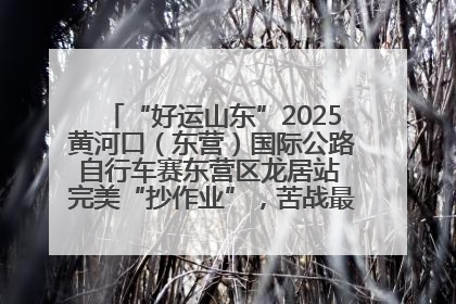 “好运山东”2025黄河口（东营）国际公路自行车赛东营区龙居站 完美“抄作业”，苦战最后时刻黄衫易主