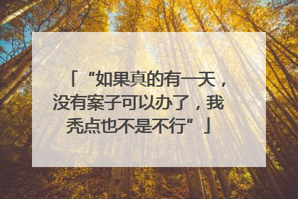 “如果真的有一天，没有案子可以办了，我秃点也不是不行”
