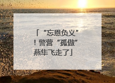 “忘恩负义”！警营“孤傲”燕隼飞走了