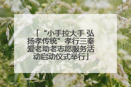 “小手拉大手 弘扬孝传统”孝行三秦爱老助老志愿服务活动启动仪式举行