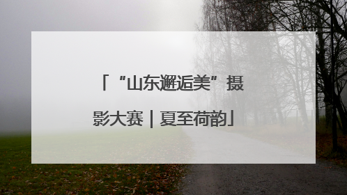 “山东邂逅美”摄影大赛｜夏至荷韵