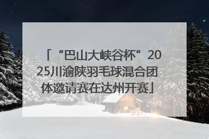 “巴山大峡谷杯”2025川渝陕羽毛球混合团体邀请赛在达州开赛