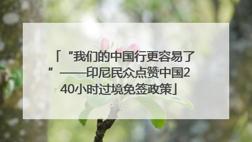 “我们的中国行更容易了”——印尼民众点赞中国240小时过境免签政策