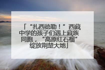 “扎西德勒！”西藏中学的孩子们遇上藏族同胞，“高原红石榴”绽放荆楚大地