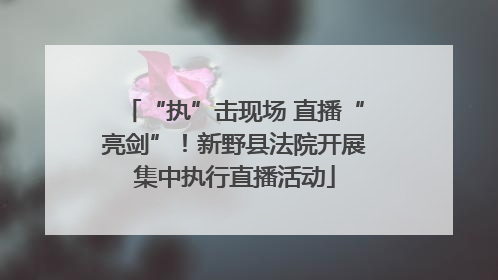 “执”击现场 直播“亮剑”！新野县法院开展集中执行直播活动