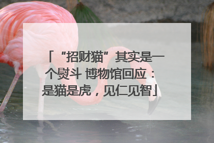 “招财猫”其实是一个熨斗 博物馆回应：是猫是虎，见仁见智