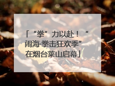 “拳”力以赴！“闹海·拳击狂欢季”在烟台莱山启幕